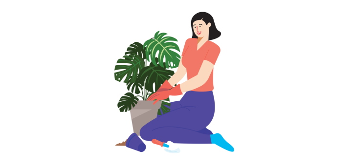 Wellness Firs Hub Image