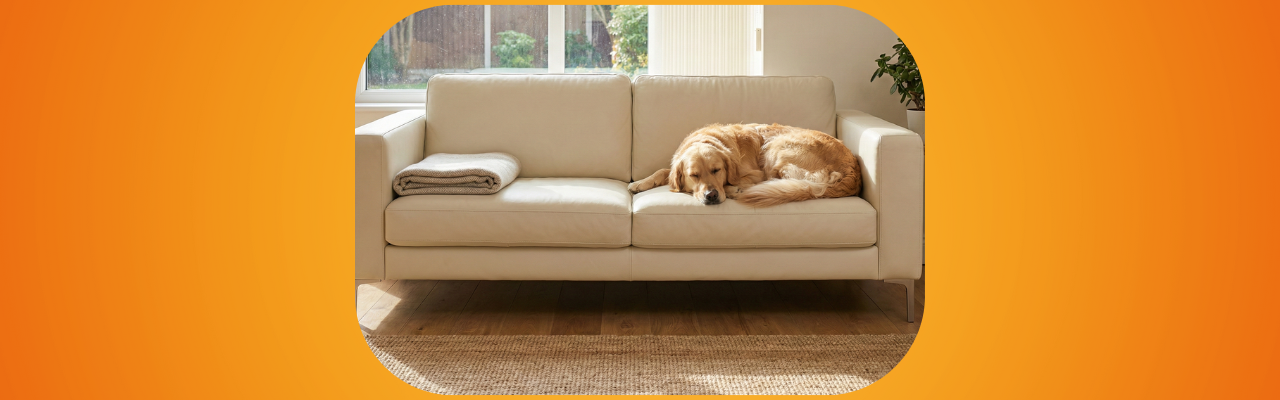 How to Keep Your Home Cleaner When You Have Pets